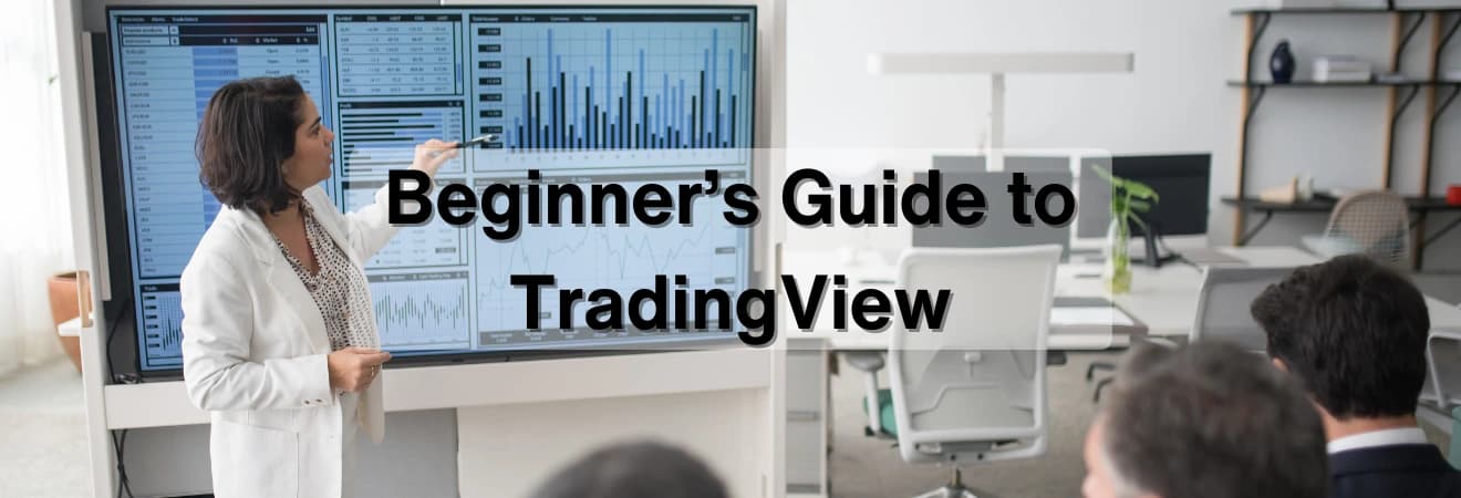 Learning TradingView: A Comprehensive Guide to Real-Time Bitcoin, Forex, Futures, Index, and Stock Charts